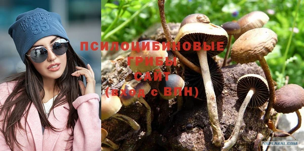 эйфоретик Балахна