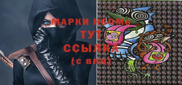 тгк Снежногорск